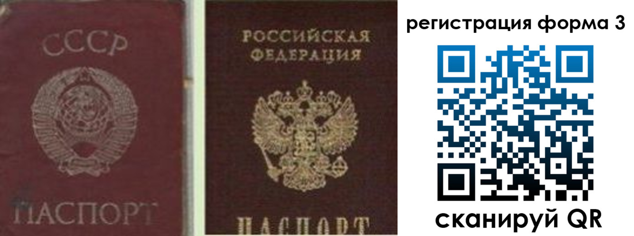прописка для школы в Щёлкино